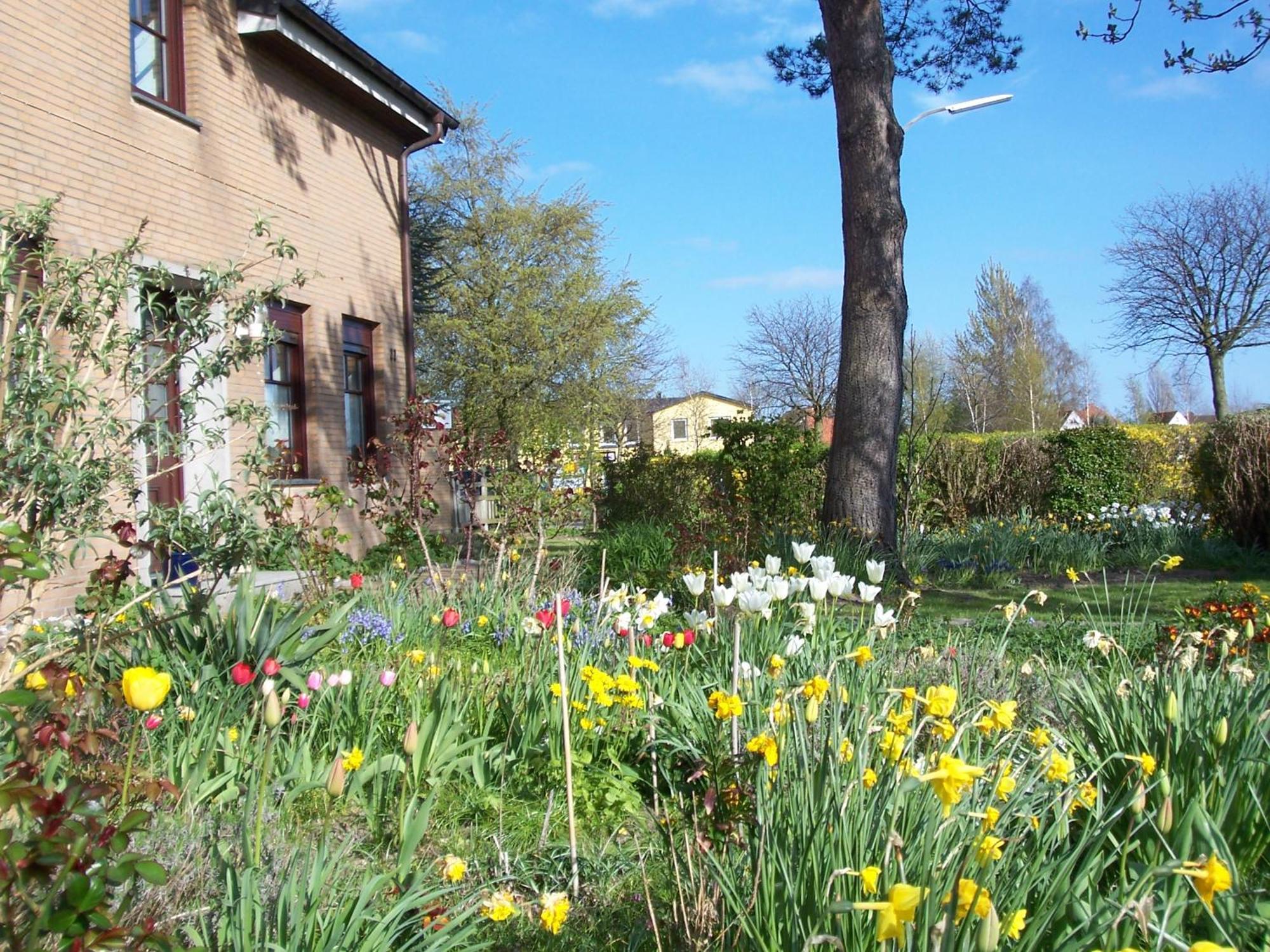 Villa Kronsteert Dahme  Exterior foto